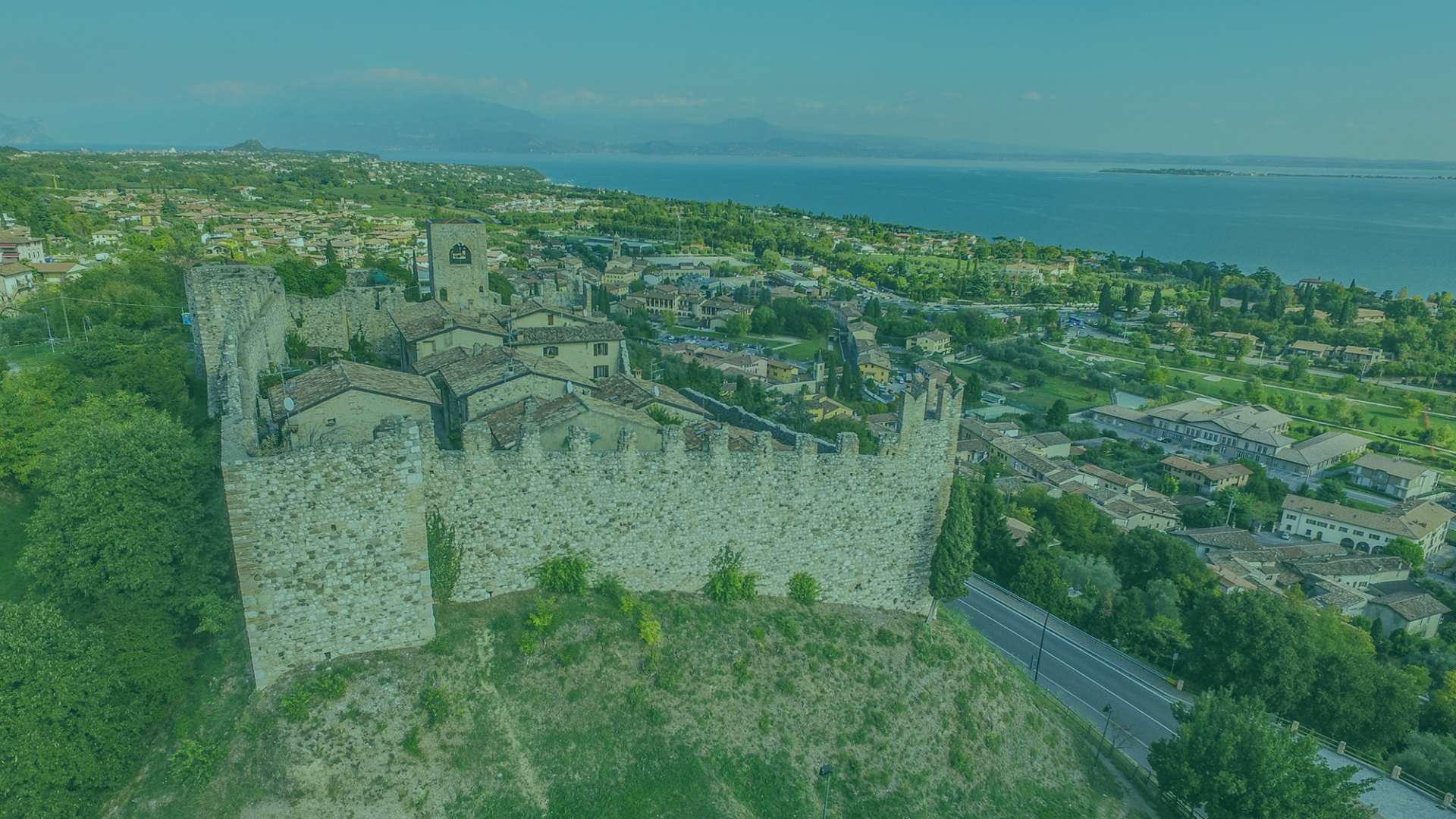 Europa Silvella — photo 4