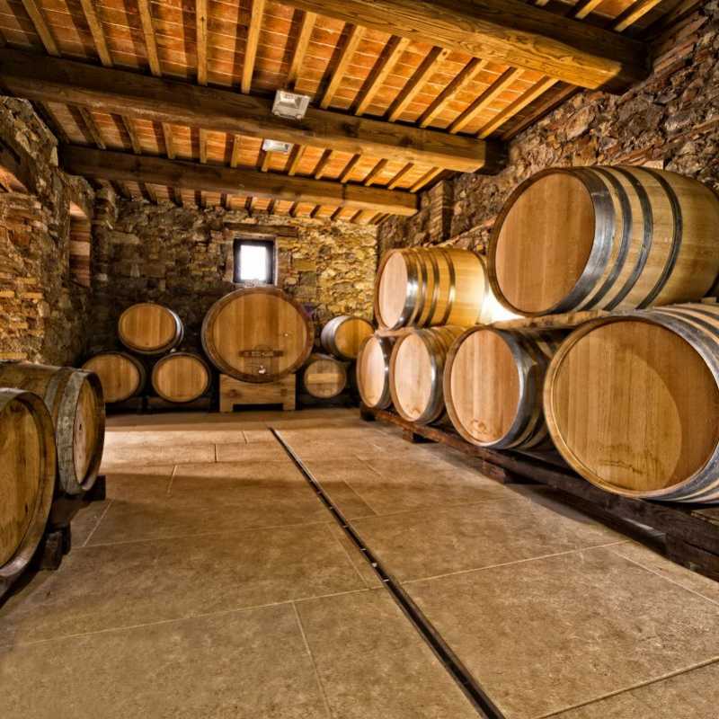 What to do on holiday in Camping Lago di Garda – tips, visit a winery