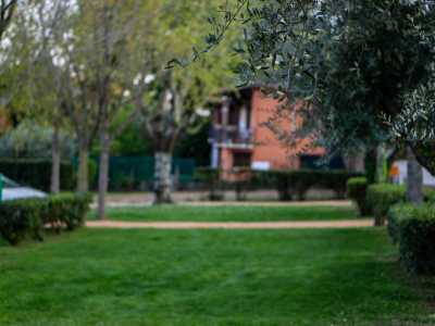 Campeggio Lago di Garda con piazzole grandi e 10 amper di elettricità 3