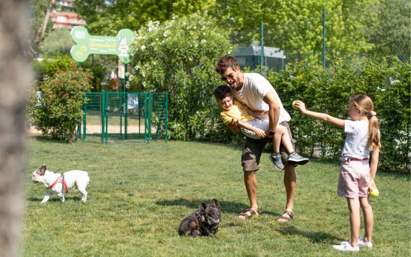 DOG DAYS BIJ EUROPA SILVELLA: EEN BIJZONDERE DAG SAMEN MET JE HOND