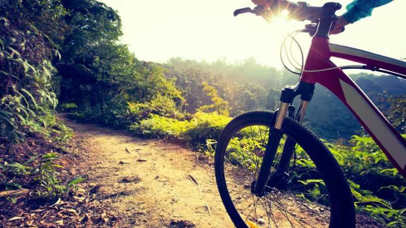 Campeggio Lago di Garda noleggio biciclette e tour (mountain bike)