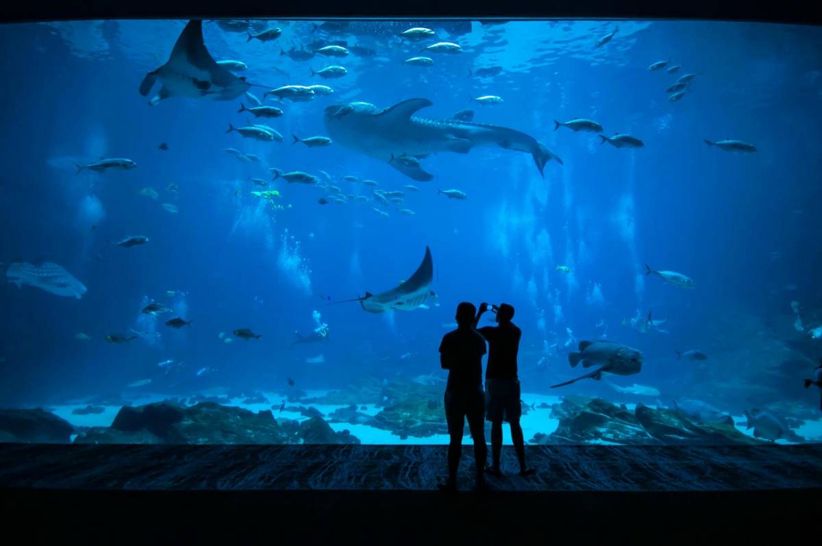 People looking at a large tank in an aquarium
