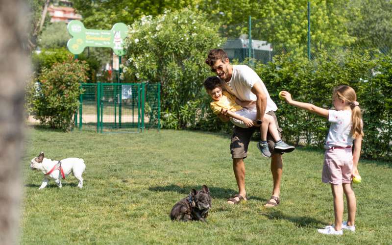 DOG DAYS BIJ EUROPA SILVELLA: EEN BIJZONDERE DAG SAMEN MET JE HOND