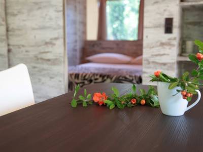 Campeggio Glamping Lago di Garda con tenda con aria condizionata e bagno privato 4