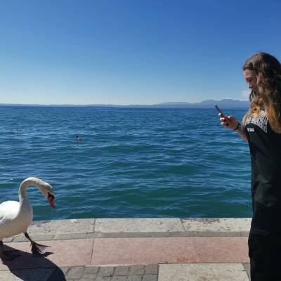 Lazise